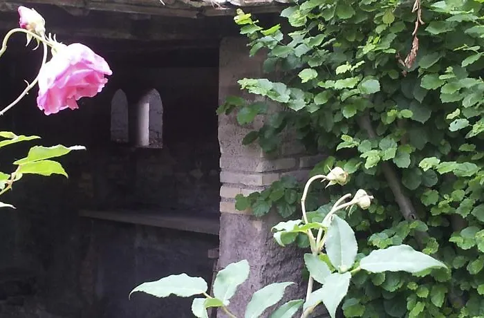Casa Mora Roma
