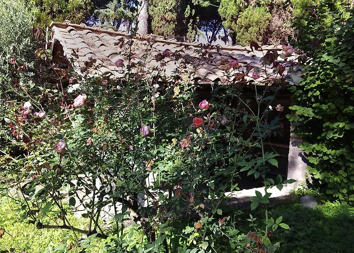 Casa Mora *